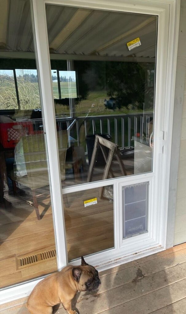 Pet Doors - Carolina Window and Door Pros of Myrtle Beach